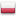 polish